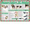 Resuscitation of Adults Poster - 2016P95055