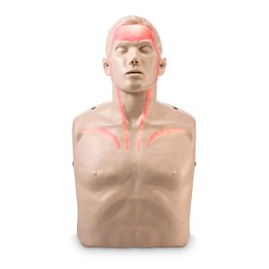 is the first CPR Manikin ever to display visual flow of blood from the heart to the brain during CPR
