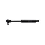 NEW GAS SPRING FOR RAMP (CD75B787L)