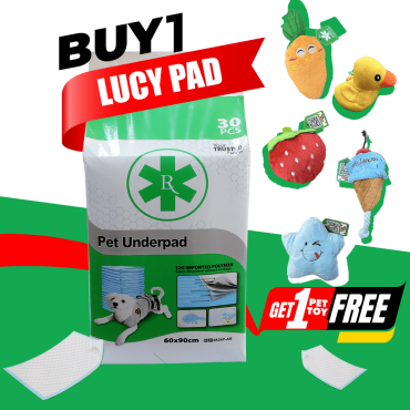 Lucy Pads - pk of 30